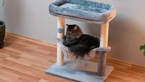 24-inch Cat Tree with Hammock & Scratcher, Light Gray - Image 2